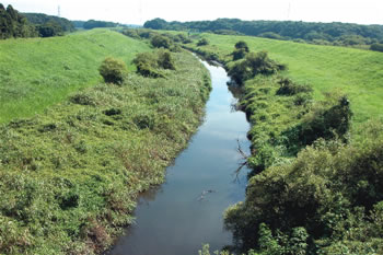 豊かな緑が満喫できる「利根運河」