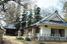 東金野井の西福寺の写真