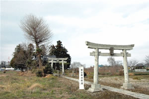 東金野井の八幡神社(東金野井貝塚)の写真