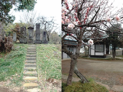 多賀神社近くの石造物群(右)と天神社の梅の写真