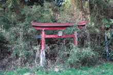 壊れかけた浅間神社の鳥居の写真