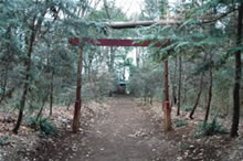 西三ケ尾・浅間神社の写真