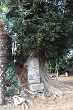 香取・大杉神社参道入口の石仏の写真