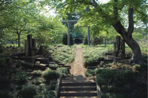 三ケ尾権現堂の木立に囲まれた参道の写真