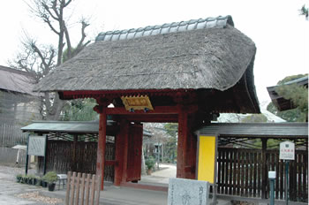 茅葺きの妙好寺山門の写真