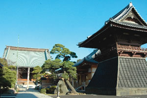 徳願寺本堂と鐘楼の写真