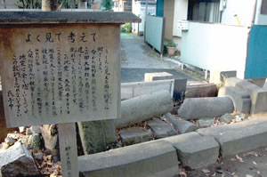 大震災で倒壊した甲大神社の鳥居の写真