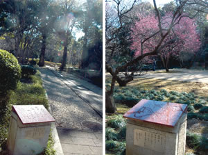 戸定が丘歴史公園内に設置された「小径」の歌碑の写真
