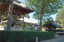 今でも「山寺」の趣がある妙蓮寺の写真
