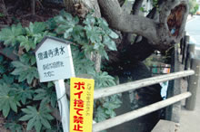 デーダラボッチ伝説が残る宿連寺湧水の写真