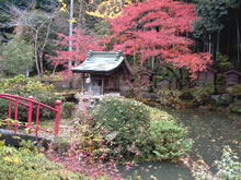 福満寺の弁天池の写真
