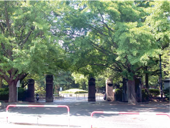 旧陸軍工兵学校正門が残る中央公園入口の写真