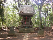 宗像神社本殿の写真