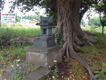 山田の八坂神社の写真