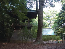 長楽寺の鐘楼と仁王門(奥)の写真
