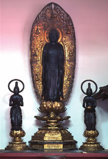 福聚院の阿弥陀三尊立像の写真